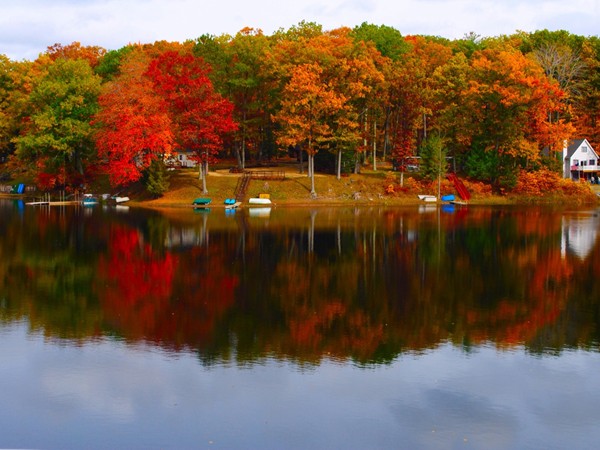 The best of fall on Big Star Lake