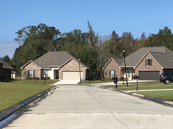 Typical homes in Pine Island 