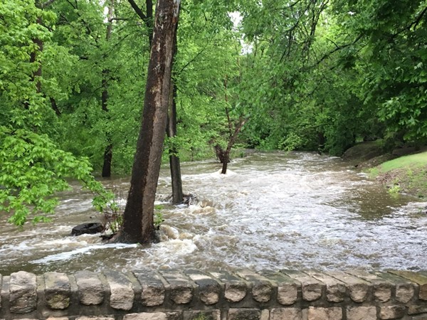 A swollen brook at the entrance to Clearbrook 