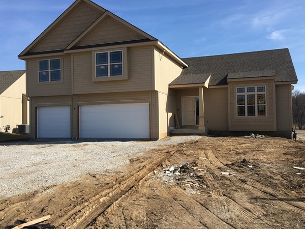 New construction in Hills of Shannon