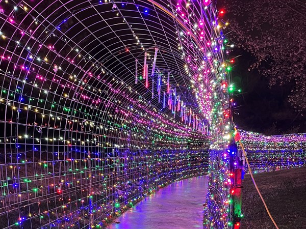 Holiday Lights 2021 at Nathanael Greene Close Memorial Park