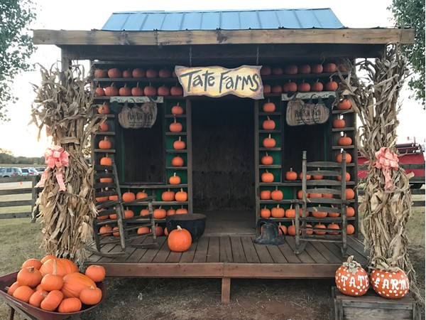 Perfect spot for a family photo at Tate Farms Pumpkin Patch in Meridianville 
