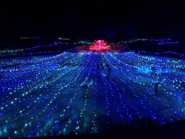 Festival of Lights at Powell Gardens