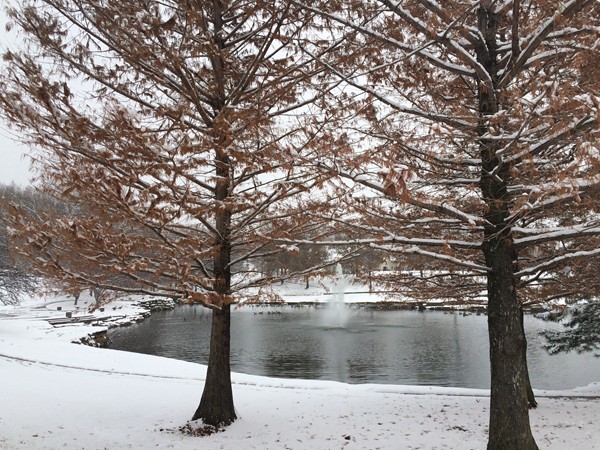 Wintertime beauty at Briarcliff