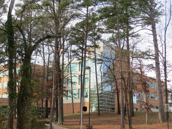 The Reynolds College of Business at the University of Arkansas at Little Rock