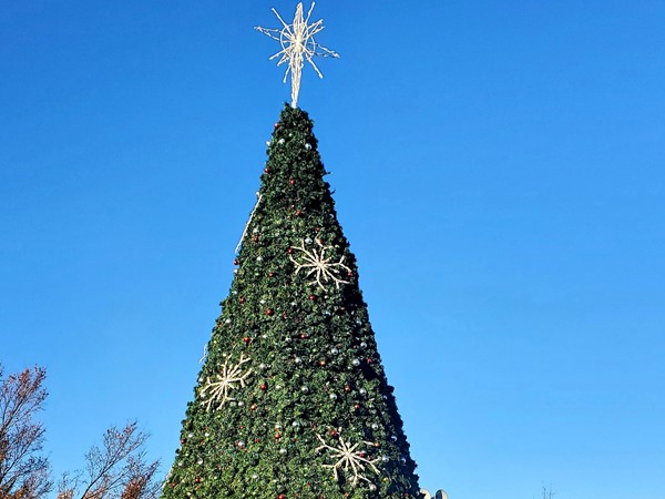 The Town Center Plaza has started decorating for Christmas! Close for shopping and dining 