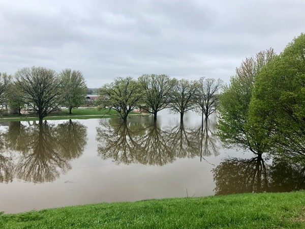 River Drive - Flood of 2019