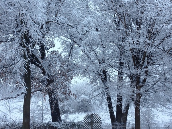 Winter in Woodland Hills