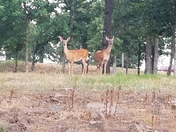 Special visitors stopped by the farm