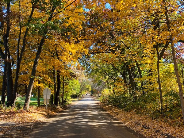 Choose to enter the subdivision by a paved road or unpaved with "up north" feeling in fall