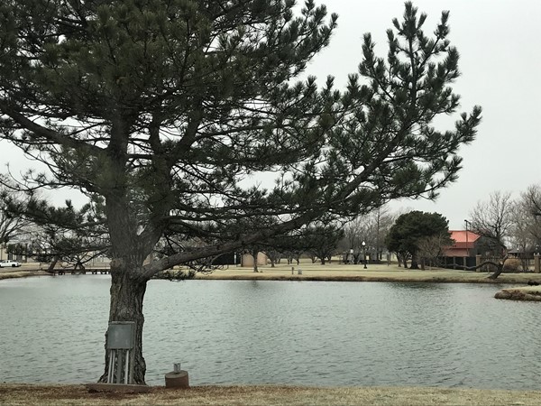 Despite the Oklahoma weather Elk City Park is beautiful looking out across the pond 
