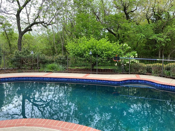 Many homes have outdoor pools