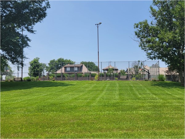 Massive backyards for activities in Thorndale