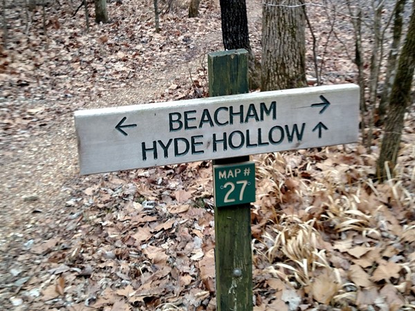 Follow the signs at Leatherwood Trail Loop
