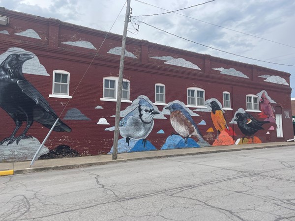 Love this colorful birds mural on the side of the old brick downtown building in Plattsburg!