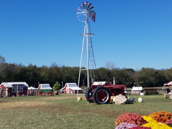 Beautiful scenery and attractions for all at Fun Farm Pumpkin Patch