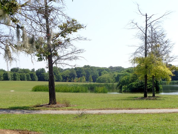 Head out to the beautiful Wynton M. Blount Cultural Park and enjoy a picnic with the family
