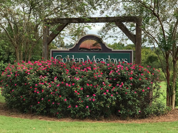 Welcome to Golden Meadows subdivision