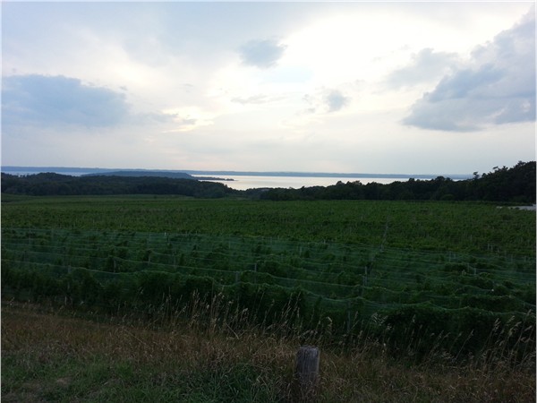 View of west Grand Traverse Bay from Chateau Grand Traverse on Center Road