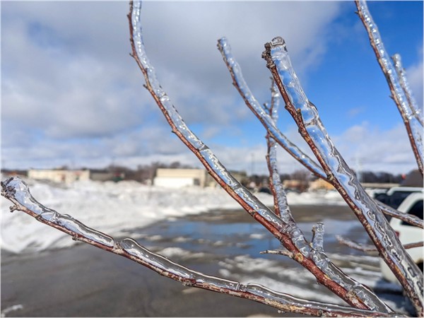 Interesting sights of ice on the trees after a local spring ice storm this year