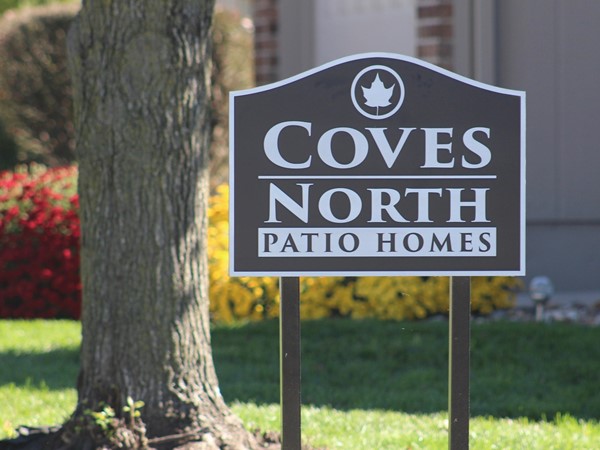 Coves North Patio homes