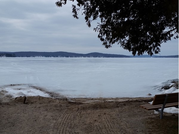 This photo was taken right down town on Walloon Beach, overlooking Walloon Lake