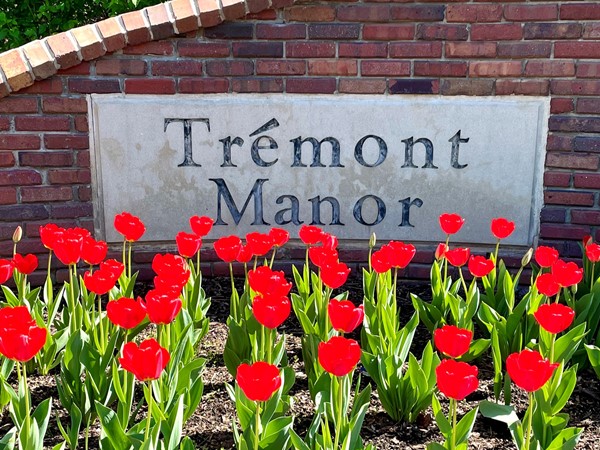 Tremont Manor blossoms in the Spring!