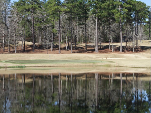 "Quail Hollow Golf Course" at Percy Quinn State Park in McComb, MS