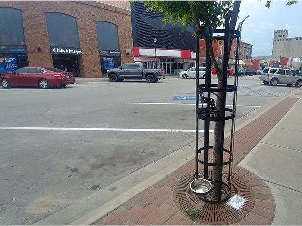 This "Home of Man's Best Friend" watering station is a perfect addition to downtown Warrensburg