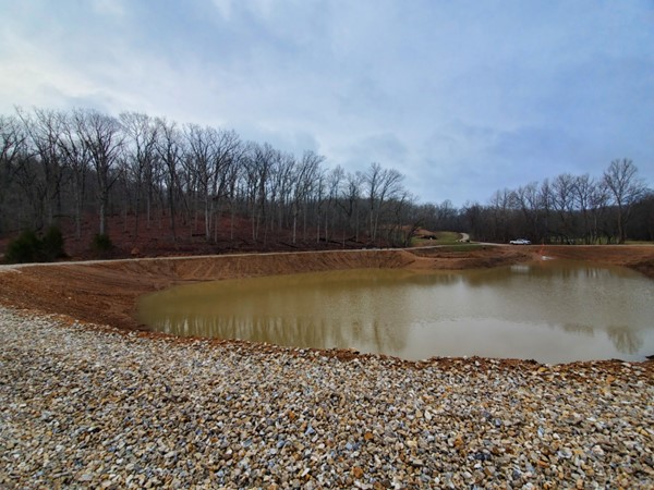 Contractor, designer, geologist, & engineer - all their help has made this lake a reality