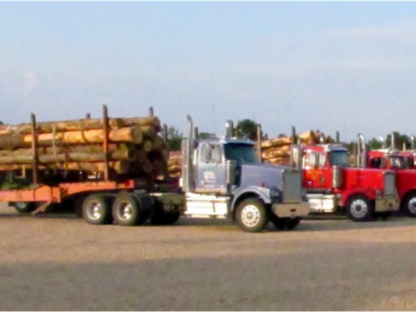 Timber industry in Southwest Mississippi
