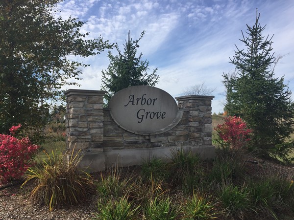 Arbor Grove is charming with large, mostly wooded, established landscaped, private lots 