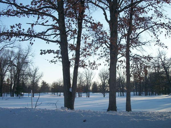 Warwick Hills in winter