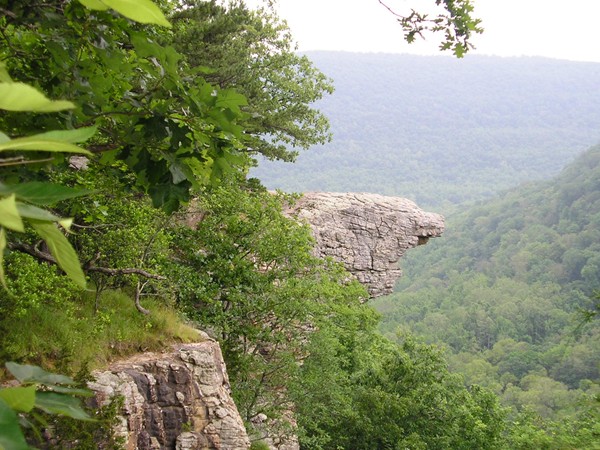 The Hawksbill Crag-Hiking trails can be found near Harrison