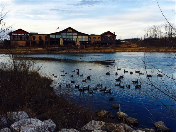 Spend the day at Bass Pro-Shop.  Eat, walk the trails, play at the park and feed the geese