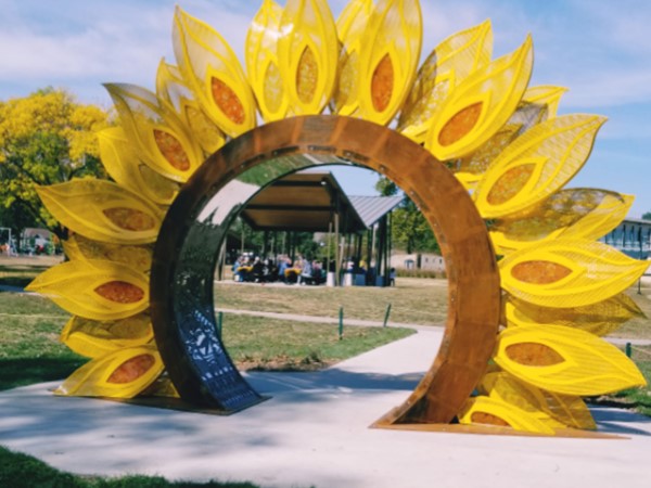 Are you a Meadowbrook Park local? I thought I recognized you from the park. I'm the new sunflower