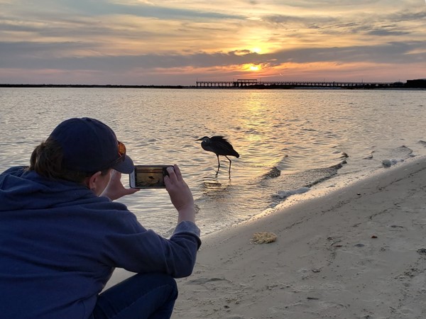 Up close and personal photography on Dauphin Island
