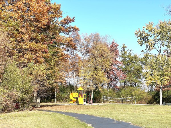 More open space to play volleyball and playscape at the park