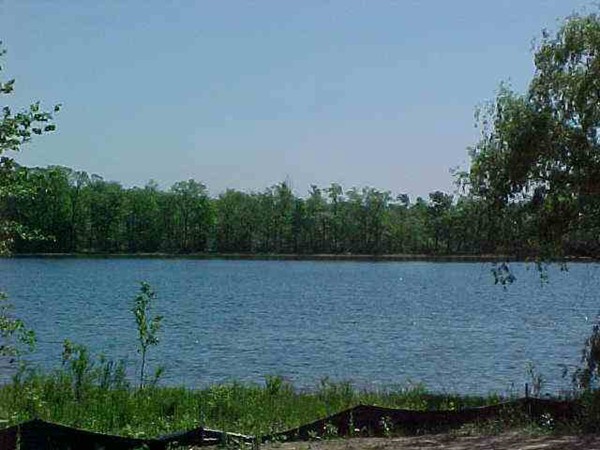 Meadow View Lake