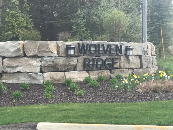 Welcome to Wolven Ridge 