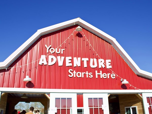 Fun Farm is a great pumpkin patch with a corn maze, apple orchard, train rides, and more 