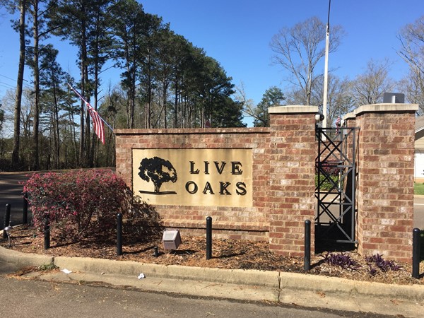Entrance of Live Oaks