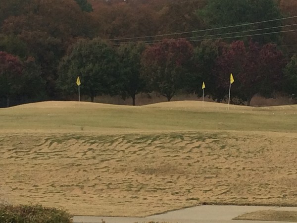 Practice green in Centennial Valley Golf Course