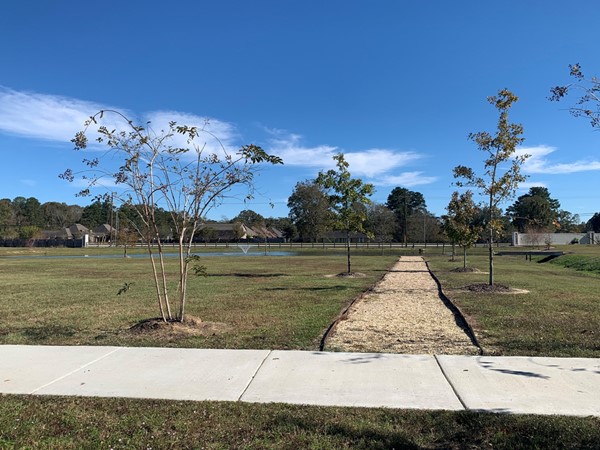 The Cypress Lakes Subdivision walking trail is located in the front of the subdivision