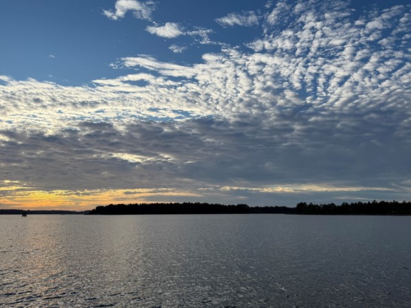 Good morning from Bayou Portage. Fish on!