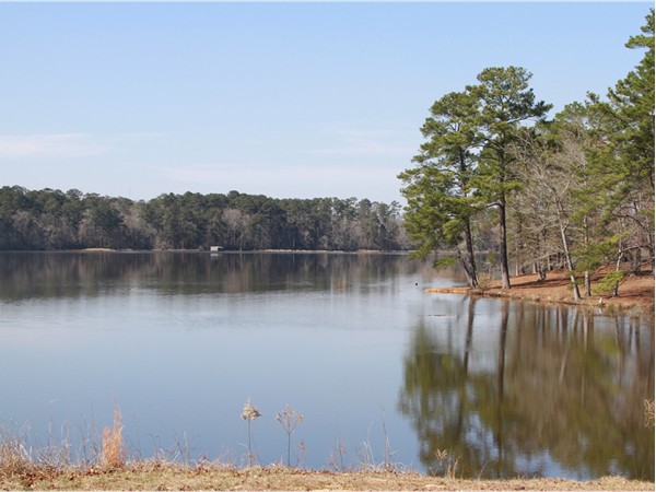 The lake at Percy Quin State Park, McComb, MS