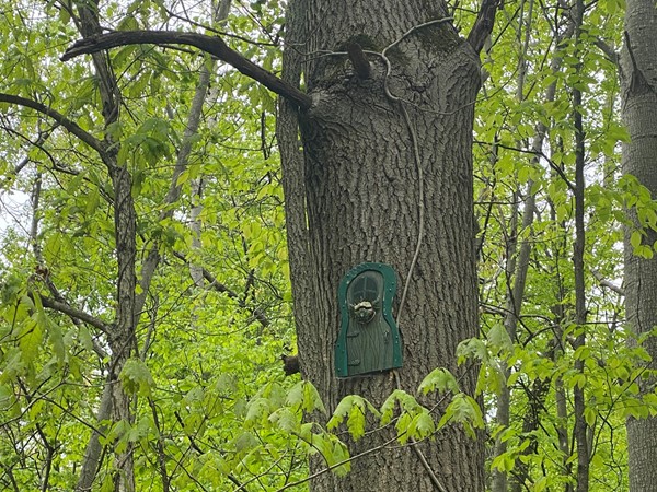 Tons of cute little fairy doors to see while riding the trails thru the park