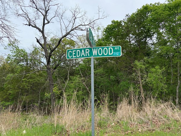 Cedarwood Acres subdivision in Branson, MO