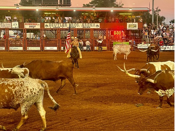 The rodeo is one of America's greatest past times 