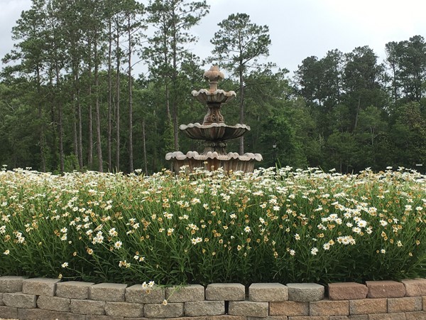 Beautiful wildflowers and fountain welcome you to C’est Si Bon